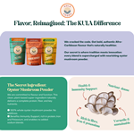 Afro-Caribbean Spices - Flavor Reimagined